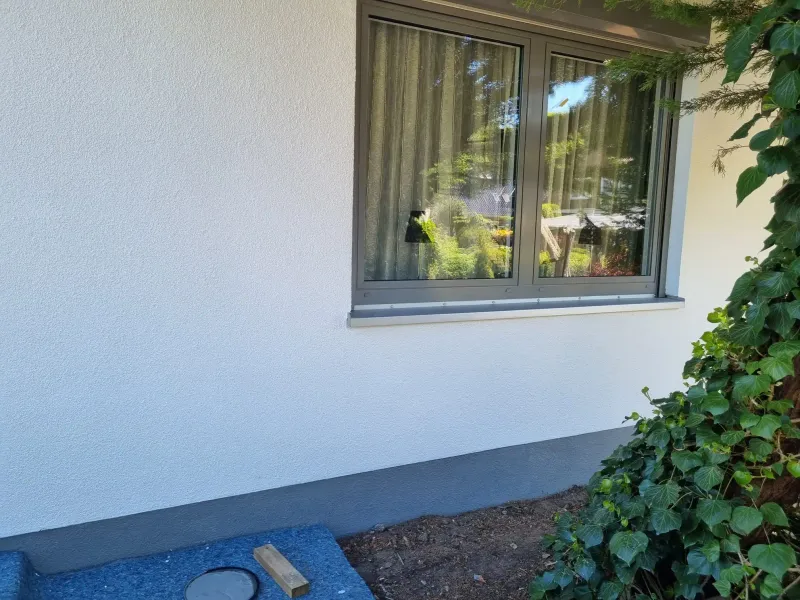 Nahaufnahme von Fenster und frisch gestrichener Fassade mit Efeubewuchs