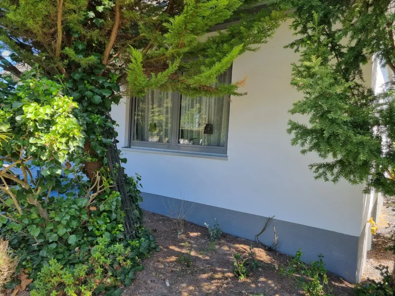 Weiß gestrichene Hausfassade mit Fenster, teils verdeckt von Bäumen