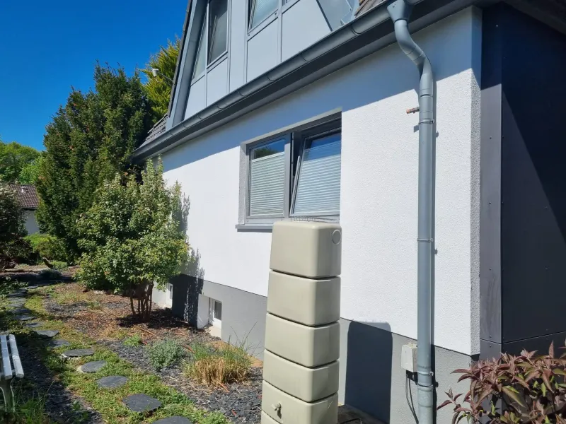 Frisch gestrichene weiße Hausfassade mit Fallrohr und Regentonne im Garten
